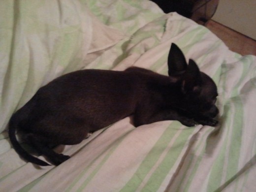 Mi bb durmiendo!!!! Mi bb durmiendo!!!!